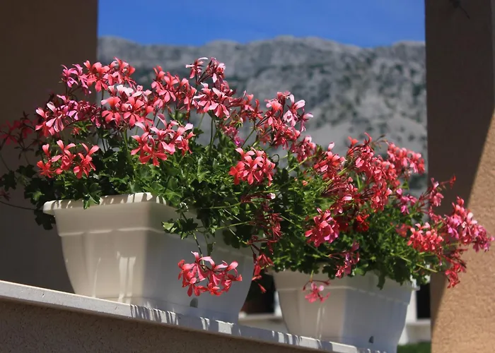 With Parking Space Orebic, Peljesac - 10196 Appartement