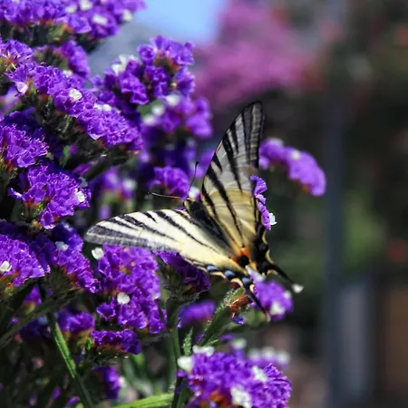 With Parking Space Orebic, Peljesac - 10196 Daire