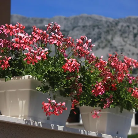 With Parking Space Orebic, Peljesac - 10196 Daire