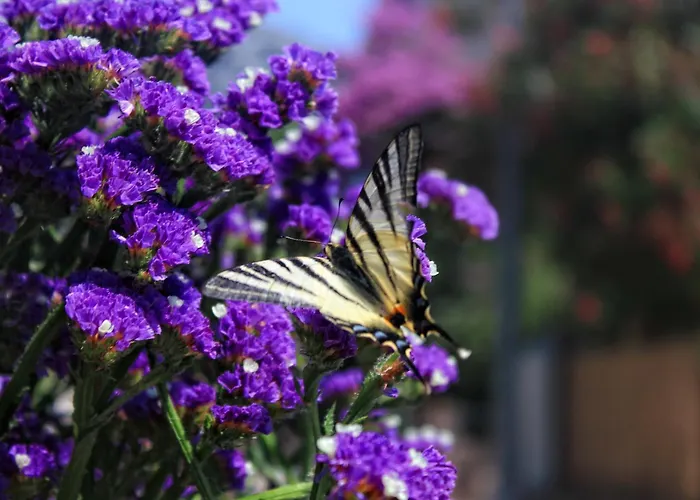 With Parking Space Orebic, Peljesac - 10196 公寓